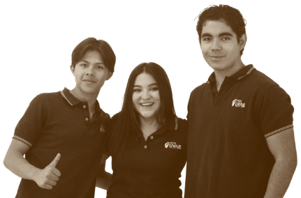 Prepa UVAE Modelo Educativo